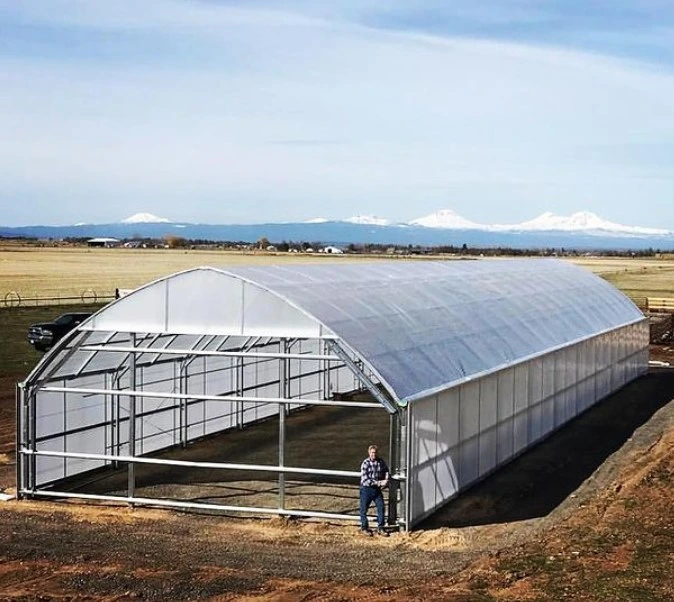 Vensovo Farm Clear Greenhouse Covering - 26X40 FT Anti-Fog Films Green House 6 Mil Plastic Polyethylene Film