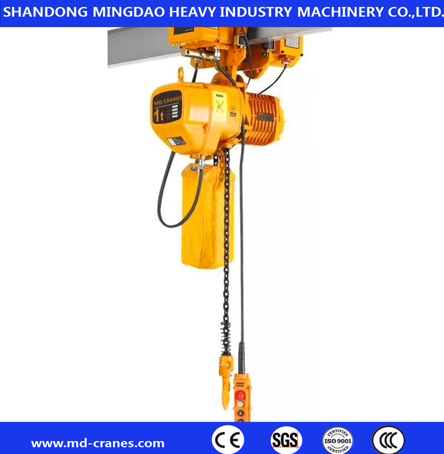 Low Price Electric / Manual Type Chain Block Hoist 1ton 3ton 5ton 10ton