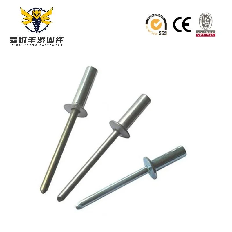 High-Quality Blind Rivet Stainless Steel Aluminum Steel Rivet Flat Head-Open Type Dome Head-Pop Rivet