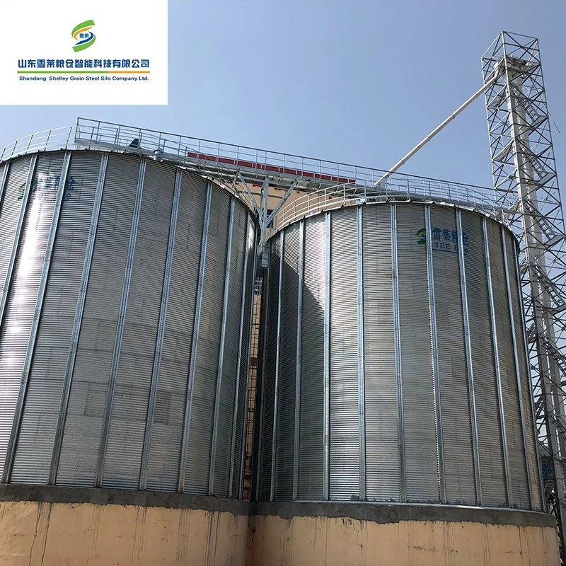 Wheat Soybean Storage Used Grain Flat Bottom Silo for Farms