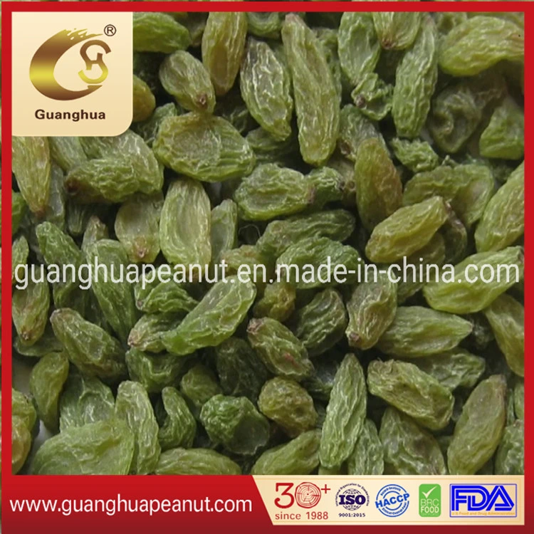 Healthy and Original Green Raisin From China