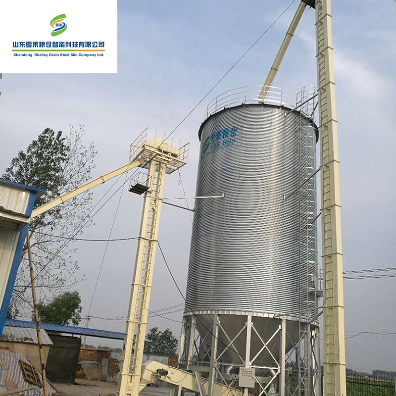 Hot Sale Industry Bucket Elevator Price for Bulk Material/Rice Mail/Grain/Corn/Concrete