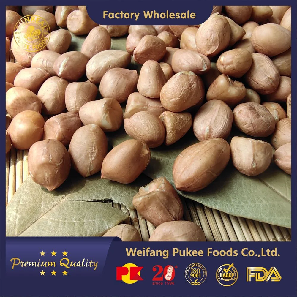 Raw Peanut Kernels/Hsuji/Pukee Foods/Good Price/New Crop/Sunreal 35/40