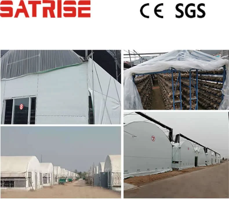 Satrise Mushroom Production Greenhouse Usage in Agricultural Mushroom