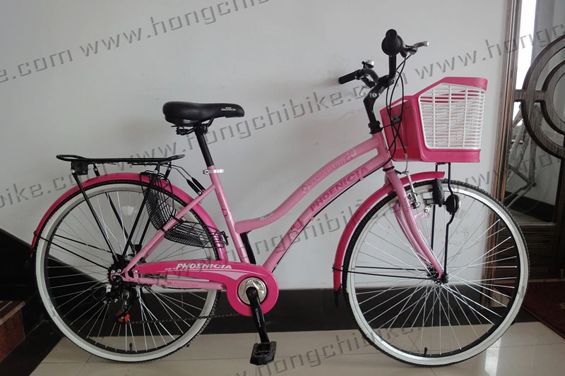City Bicycle for Lady with Basket and Rear Carrier (HC-LB-41905)