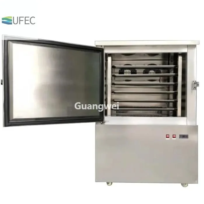 Commercial Fast Cooling Refrigerator Industrial Blast Freezer