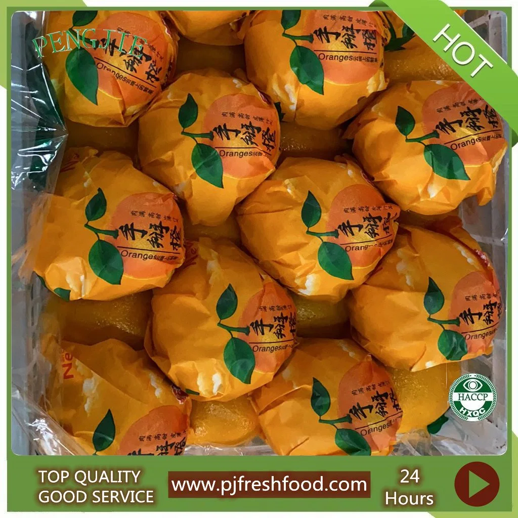 New Crop Delicious Navel Orange (56-64-72/15kg carton)