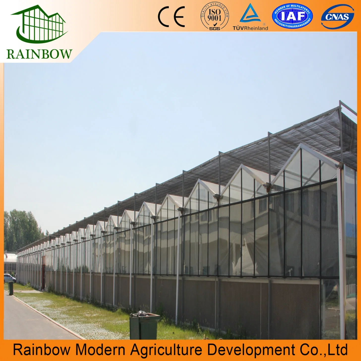 Agriculture Arched Roof Greenhouse Factory Supply