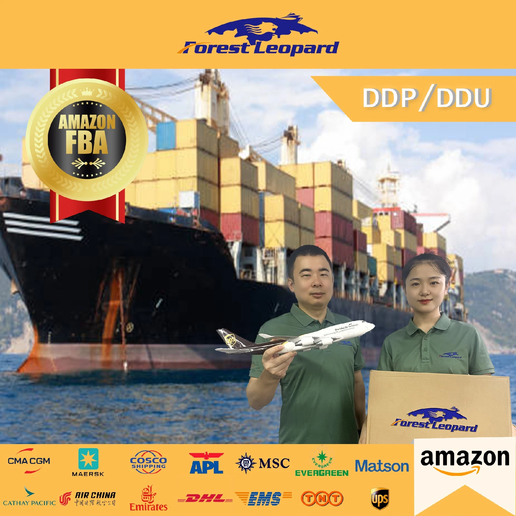 Freight Forwarder Transport DDP Amazon Fba Sea Freight to UK Italy France Poland New Zealand United States