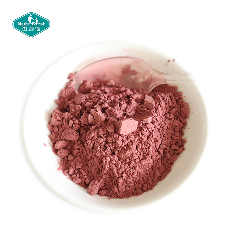 Health Superfood Supplement Ultra Berry Fruit Blend Beauty Drink Powder for Skincare