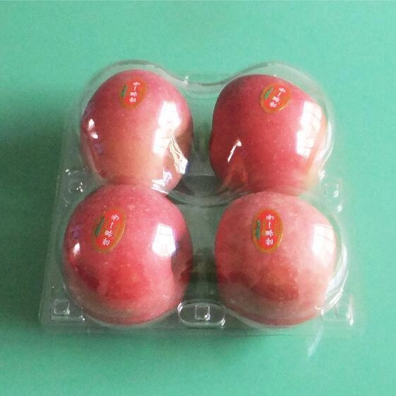 strawberry PET disposable clamshell packaging transparent square fruit plastic box