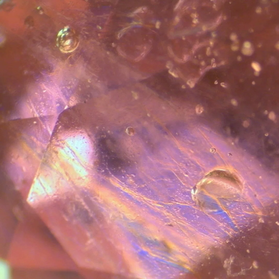 BestScope BS-8020B Stone Jewelers Edelstein Diamanten Smaragde Rubine guter Preis Gemologisches Mikroskop