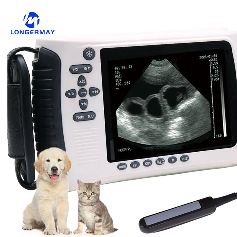 Affordable and Efficient Vet Ultrasound for Veterinary Animal Clinics & Hospitals