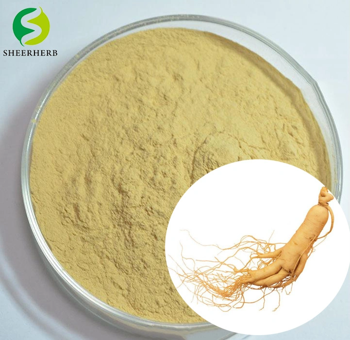 ISO Certified Ginseng Extract Powder Water Soluble Panax Ginseng Extract Ginsenoside