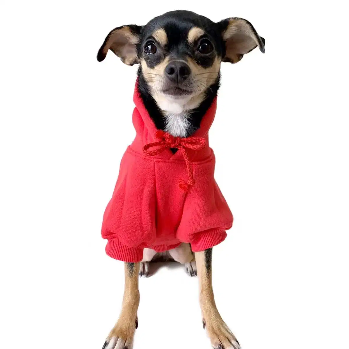 Hanyang mayorista más populares de la Mascota personalizada Hoody ropa perro personalizado