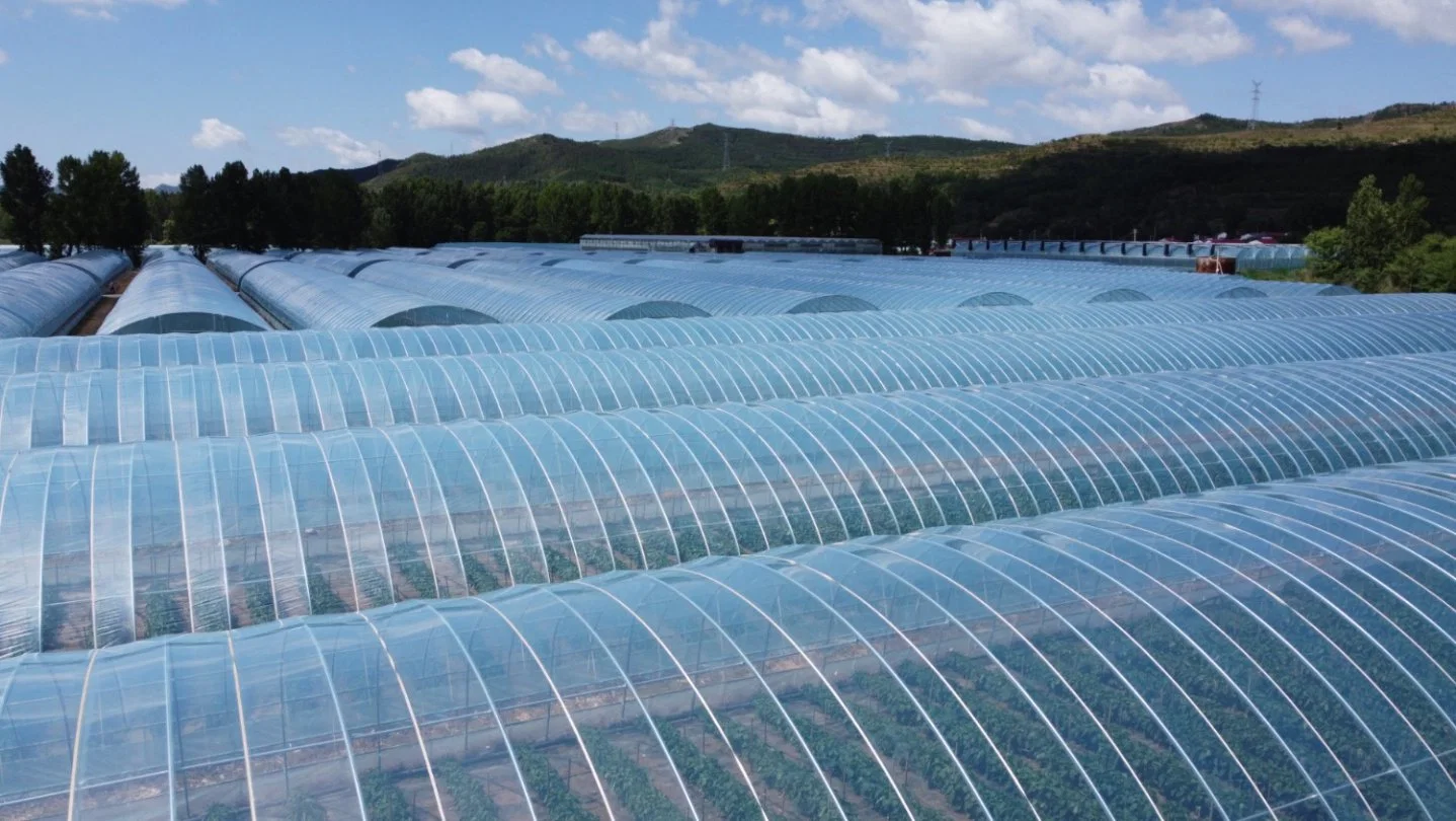 Perfect Commercial Manufacture Best Made Greenhouse Plastic Film