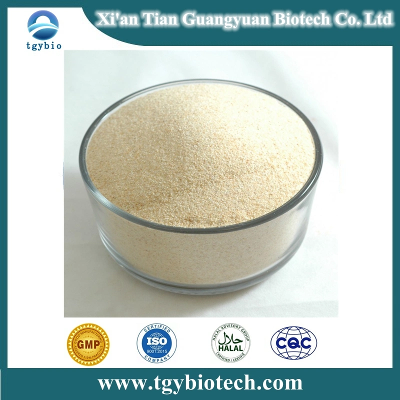 Factory Supply Wholesale Psyllium Husk Seed Powder Plantaginis Testa Powder