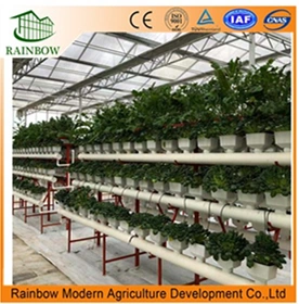 Agricultrue Glass Greenhouse Hydroponics System