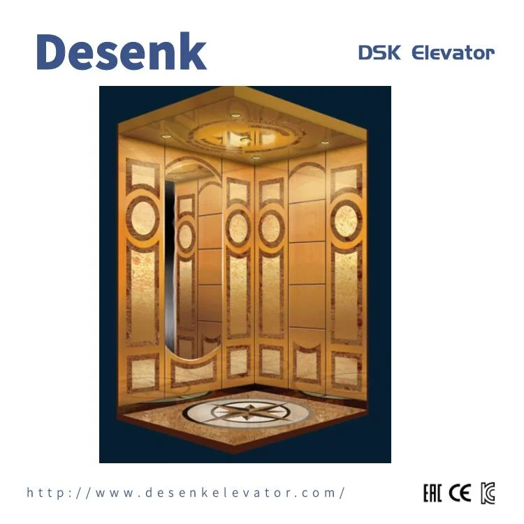 DSK Passenger Elevator Home Elevator Lifts Elevator Parts For Commercial Building Elevator Used