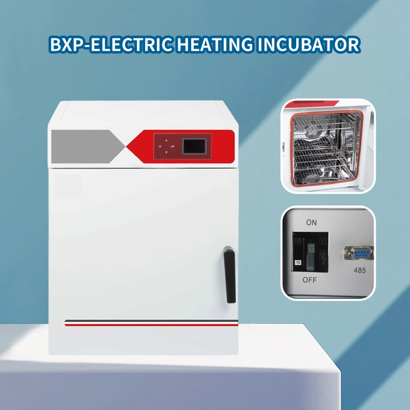 Electric Constant Temperature Incubator Best Selling Lab Instrument Lab Equipment Thermostat Bxp-65