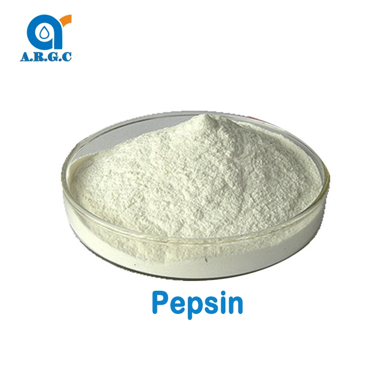 Food Grade Pepsin Enzyme Powder 99% CAS 9001-75-6