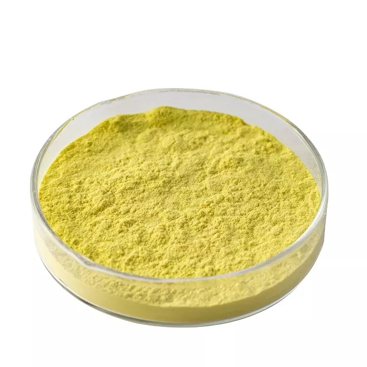 Soybean Soy Extract 20% 50% 70% Phosphatidyl Serine Phosphatidylserine PS