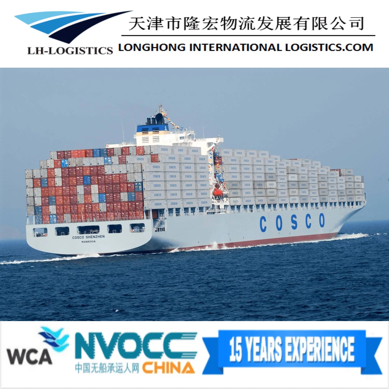 Fiable China Transporte marítimo competitivo desde China a América/Oriente Medio/Europa Y Mediterráneo