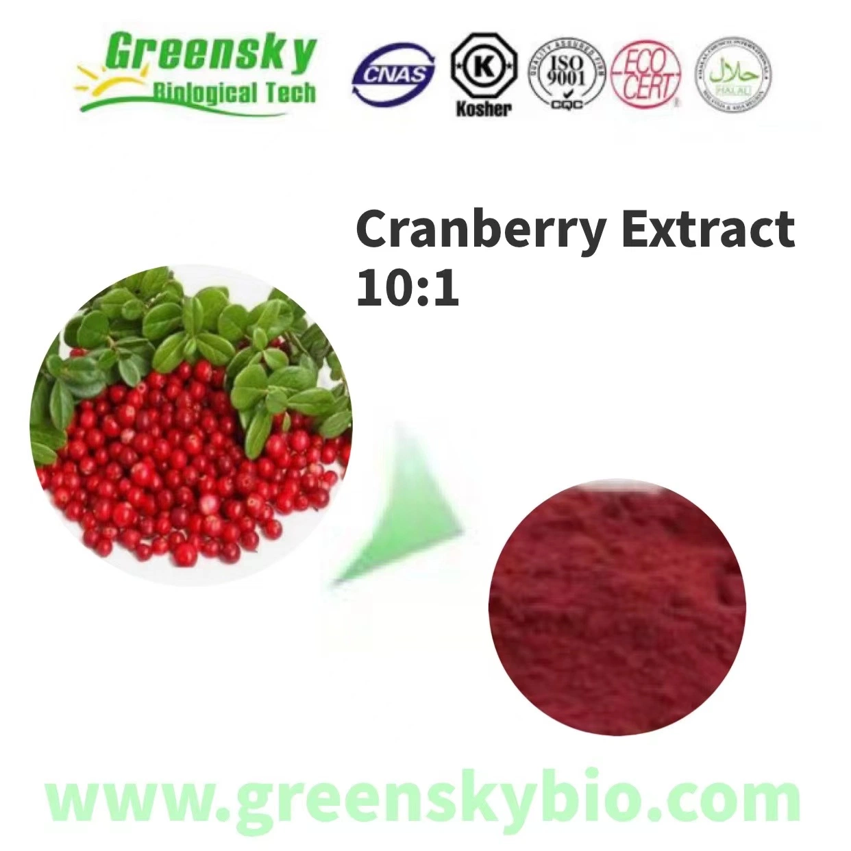 Cranberry Extract 10: 1 Vaccinium Macrocarpon L. Dark Red Powder Fruit High Quality Plant Extract Herbal Extract Pure Natural Food Additives