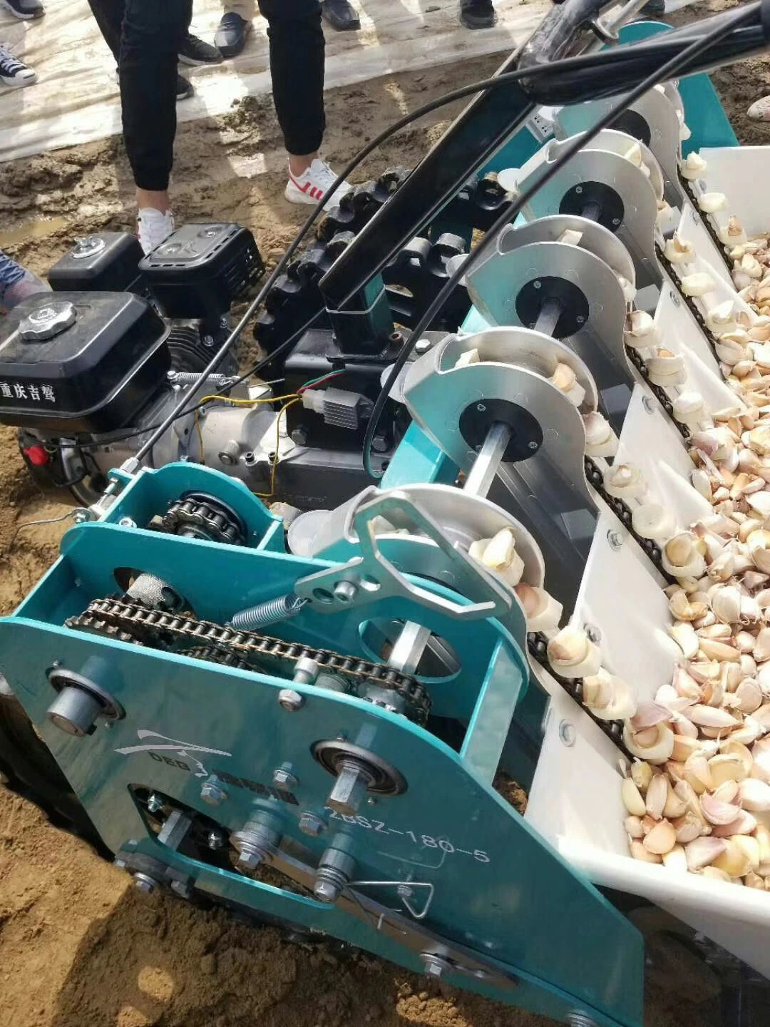 High quality/High cost performance  Garlic Planting Machine with Competitive Price