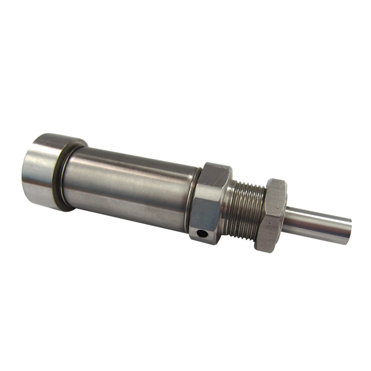 Densen Customized CNC Micro Small Stainless Steel Part Compressed Pneumatic ISO Mini Air Cylinder