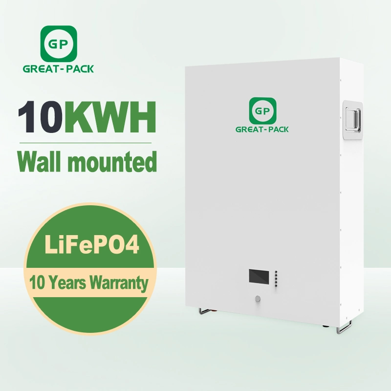 Built-in BMS Protection Li-ion LiFePO4 Pack 48V 200ah Wall-Mounted Battery