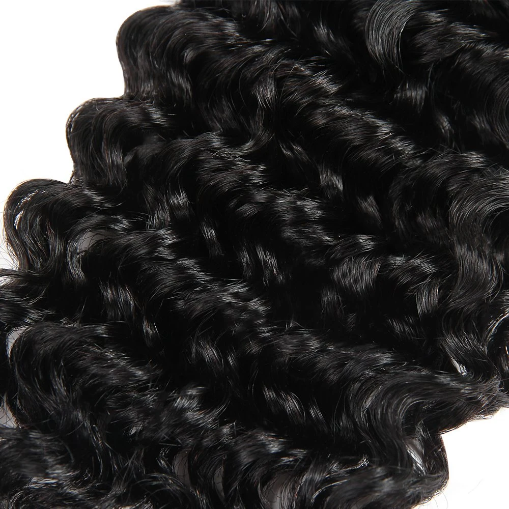 Wendyhair 100% Brazilian Virgin Hair Deep Wave Malaysian Curly Hair