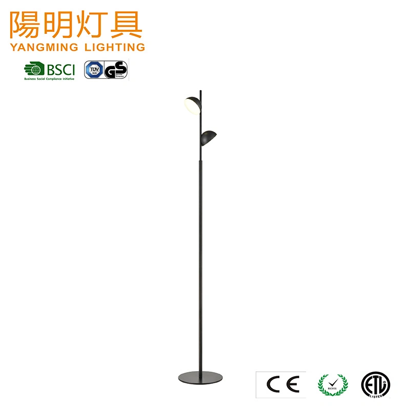 New Arrive Black Painted Model Acrylic Ball Shade LED Stand Floor Lighting