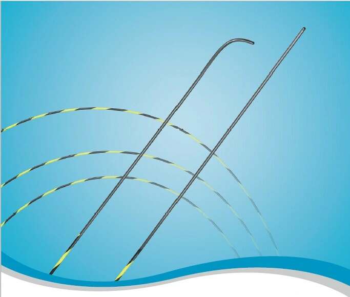 Hydrophilic Nitinol Guide Wire with CE & ISO Certificate