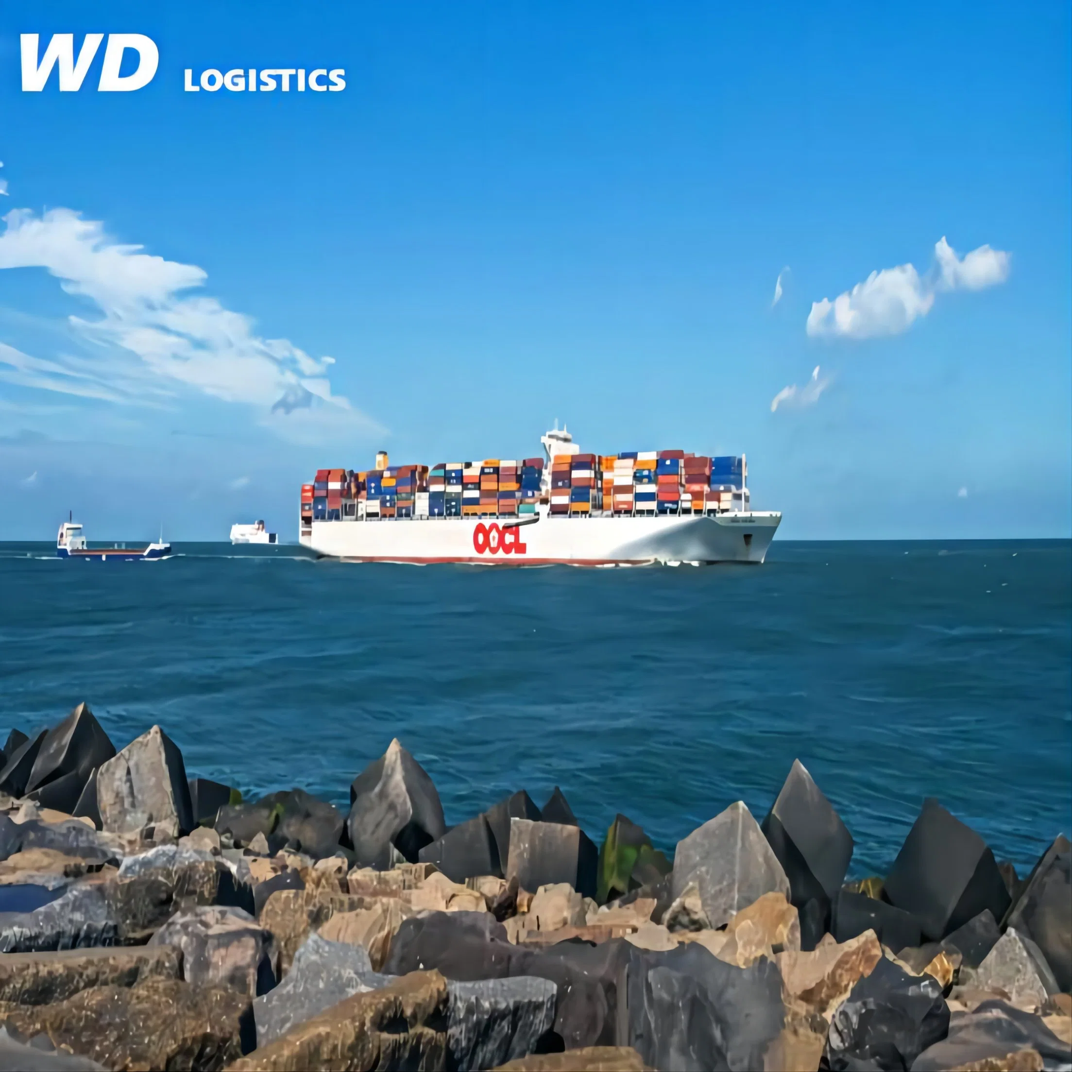 New Shipping Rate From Shenzhen to Rotterdam Felixstowe Hamburg