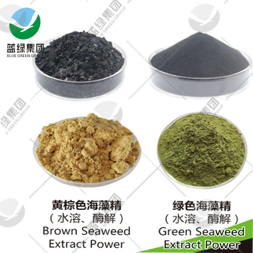 Agrochemical Pesticide Fertilizer Seaweed Extract