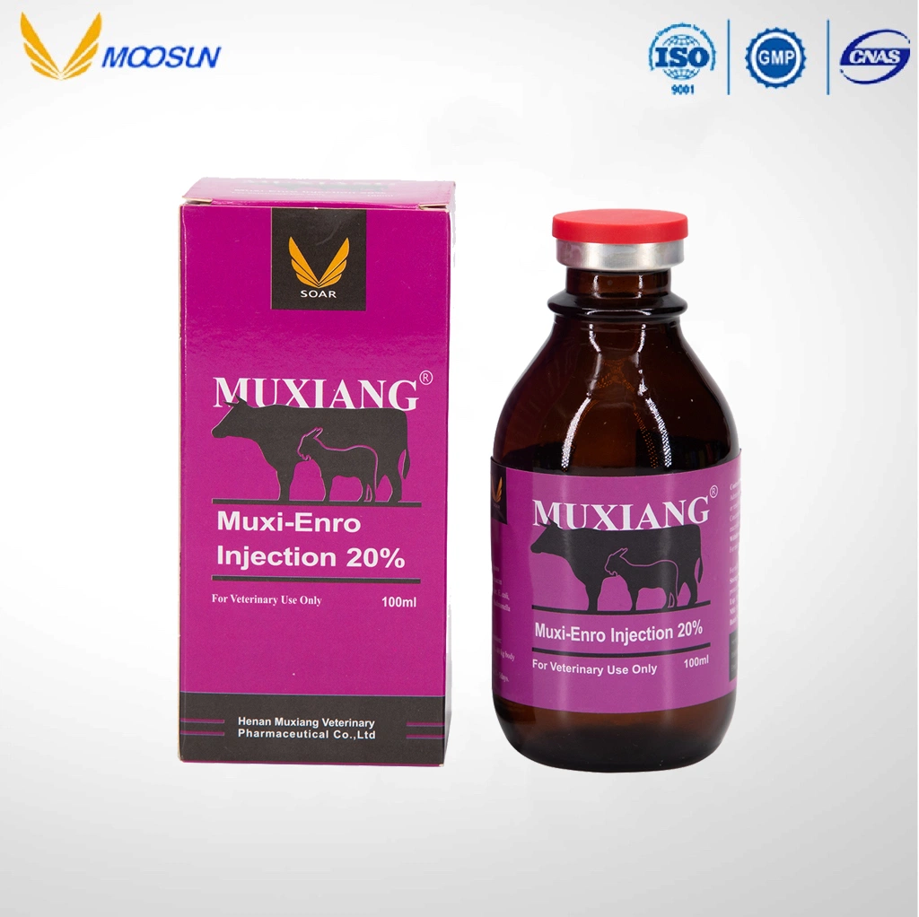 Pharmaceutical Chemical 5% Flunixin Injection Anti-Inflammation Veterinary Medicine