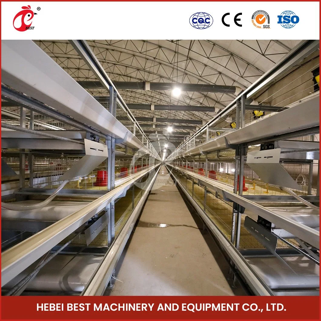 Bestchickencage H Frame Broiler Cages China Metal Chicken Coop Wholesale/Supplierr Good Ventilate Design Automatic Temperature Broiler House