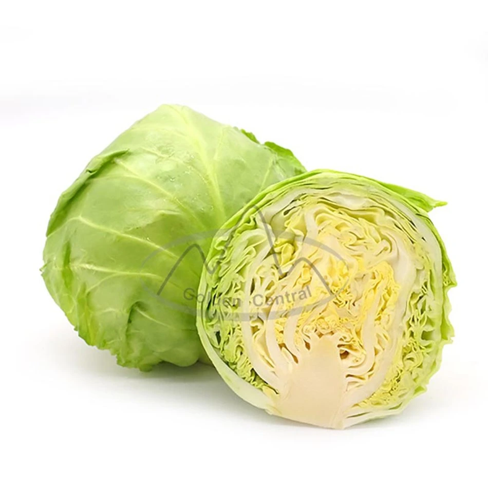 Natural Wholesale/Supplier Fresh Vegetables Cabbage with Factory Price