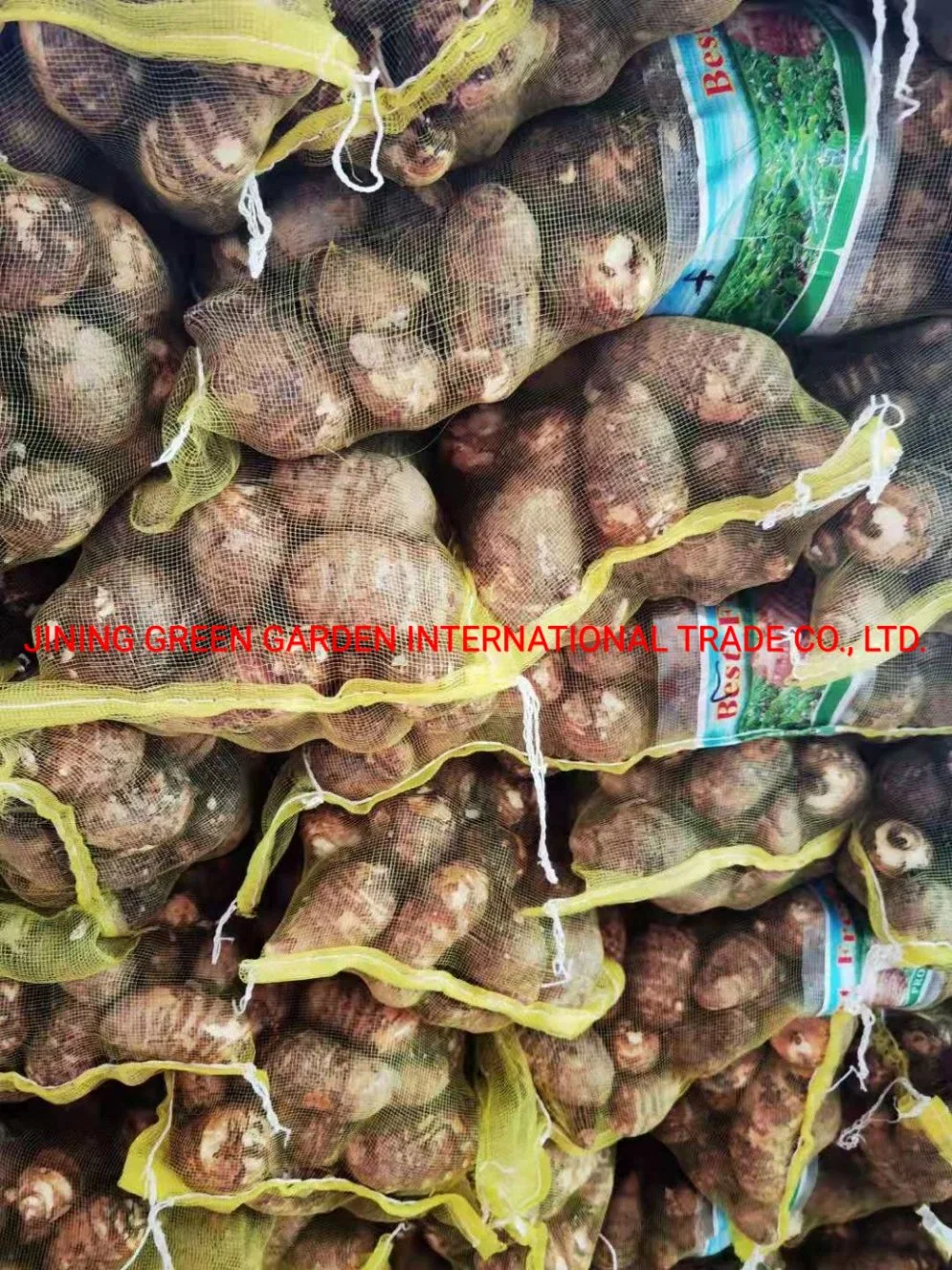 La exportación de alta calidad y buen precio natural puro fresco orgánico Taro