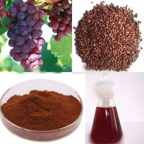 100% High Quality Grape Seed Extract CAS No. 84929-27-1