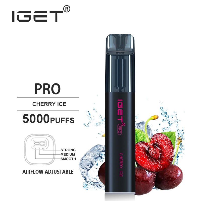 2022 Wholesale/Supplier Disposable/Chargeable Vape Pen Iget PRO 5000puffs