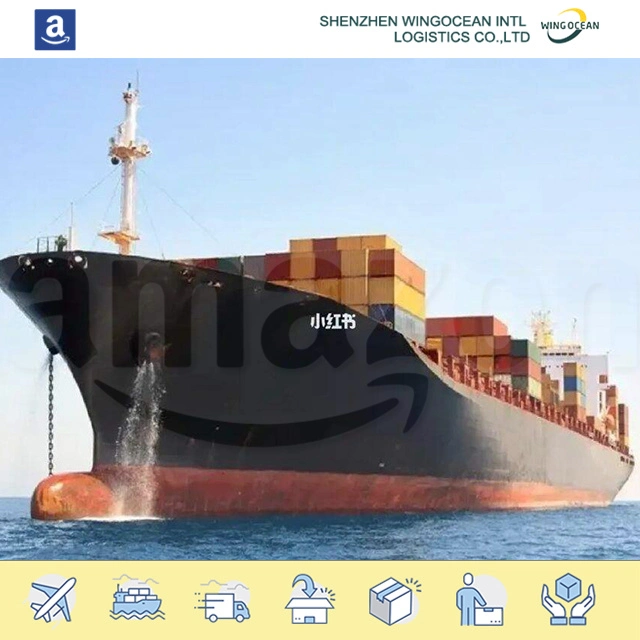 Professionnel excellent International Amazon Sea Freight Provider Service Sea Cargo Expédition au Mexique/Australie