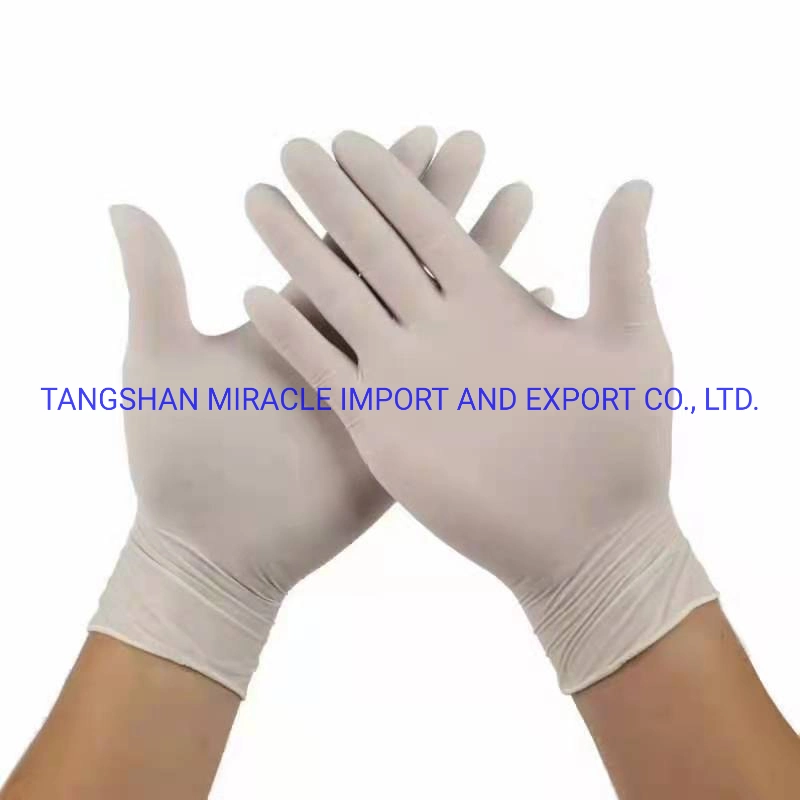 Protective Gloves Powder Free/Powdered PVC/ CPE /Glove Disposable Gloves Food Grade Industrial Grade Examination Glove