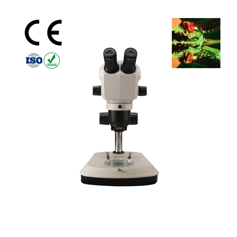 Binocular Stereo Zoom Microscope for 4X-300X (with options)