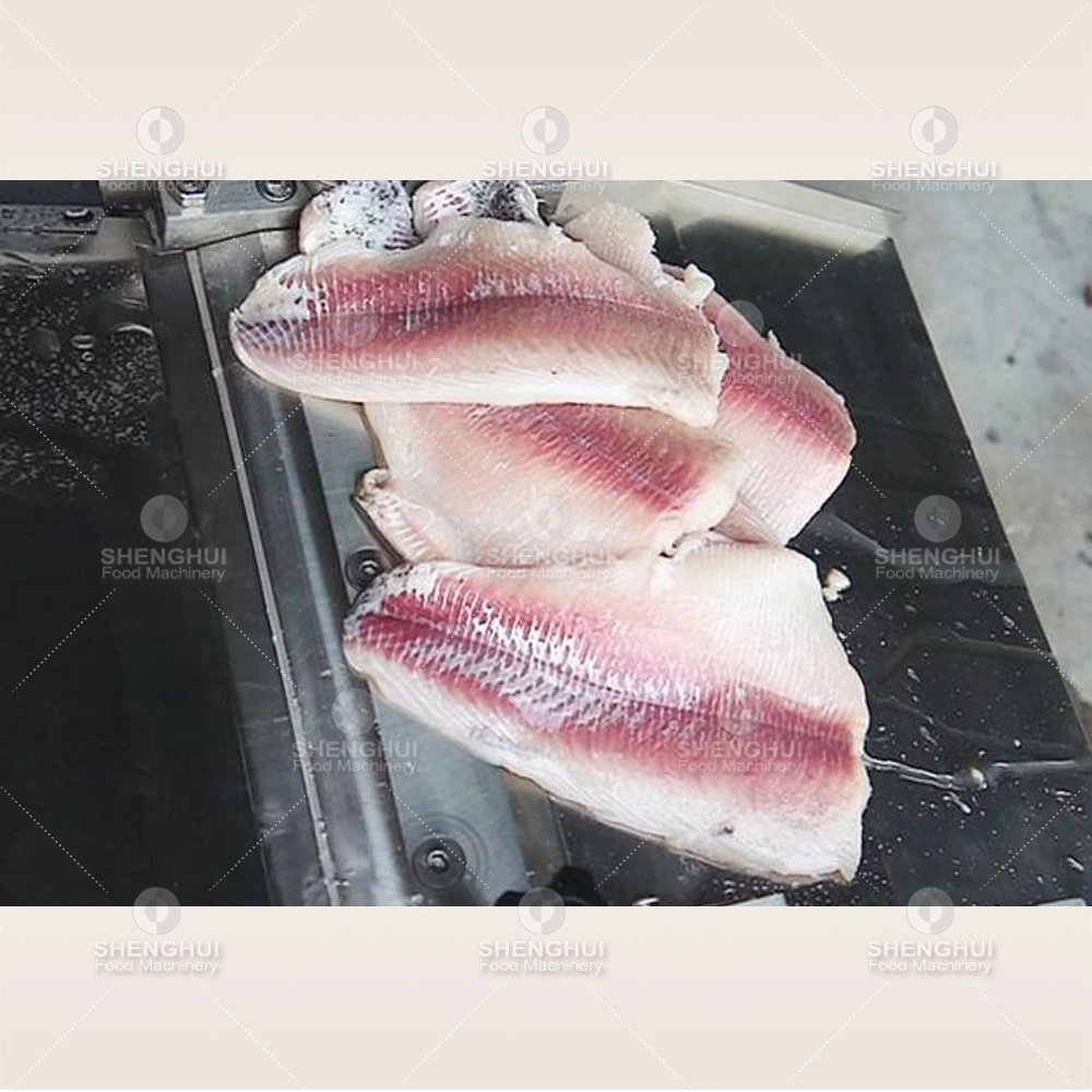 Le tilapia saumon automatique Basa peau de poisson retrait Peeler Machine Squid Skinner