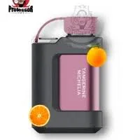 Atomizer original Vozol Gear 5000 7000 10000 Puffs fruits rechargeables Parfum Vape
