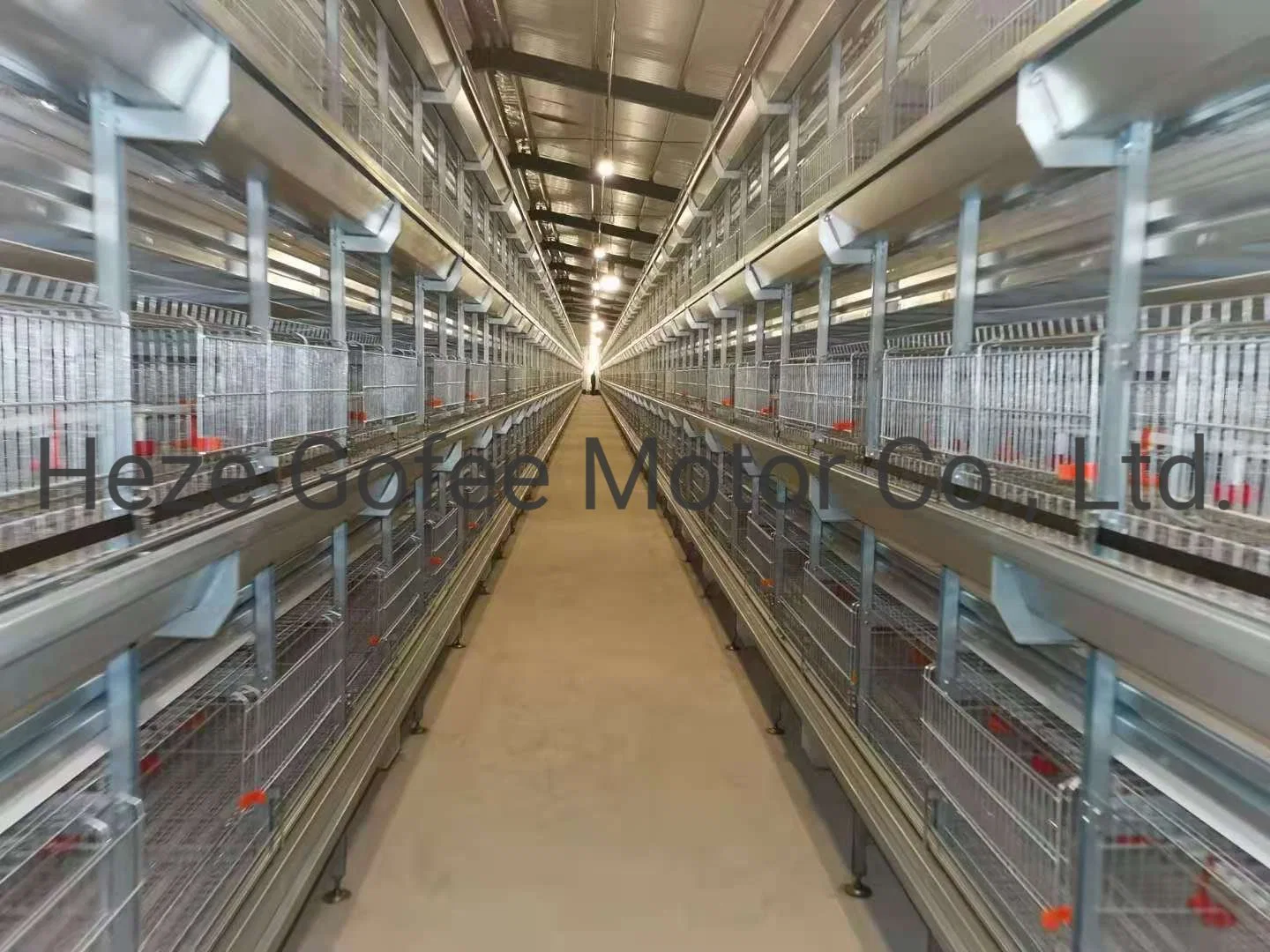 Egg Chicken Cage Poultry Farm Layer Cages