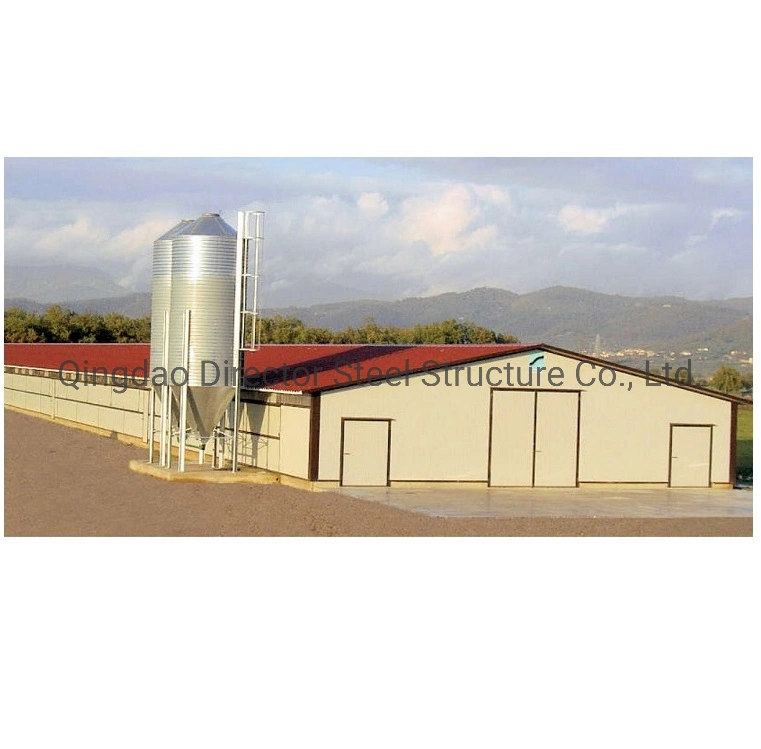 Galvanized Steel Structure Broiler Shed Design Poultry Farm Building