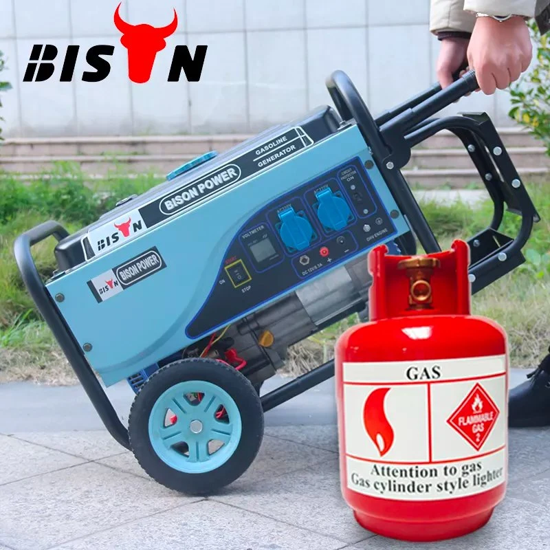 Bison Noiseless OEM Factory LPG Gas Generator